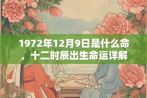 1972年12月9日是什么命，十二时辰出生命运详解