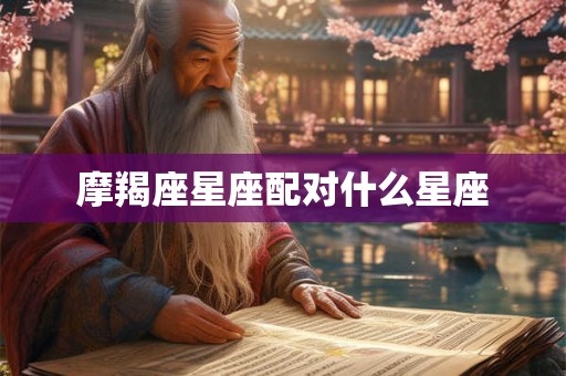 摩羯座星座配对什么星座