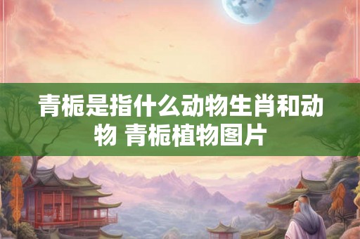 青栀是指什么动物生肖和动物 青栀植物图片 青栀是指什么动物生肖和动物 青栀植物图片