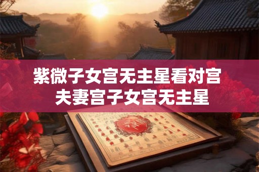紫微子女宫无主星看对宫  夫妻宫子女宫无主星