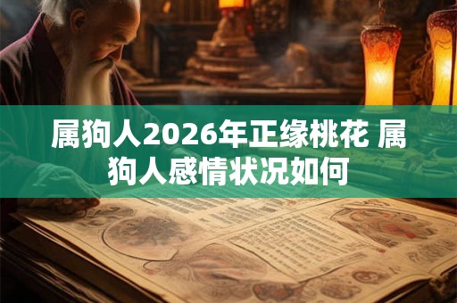 属狗人2026年正缘桃花 属狗人感情状况如何 属狗人2026年正缘桃花 属狗人感情状况如何