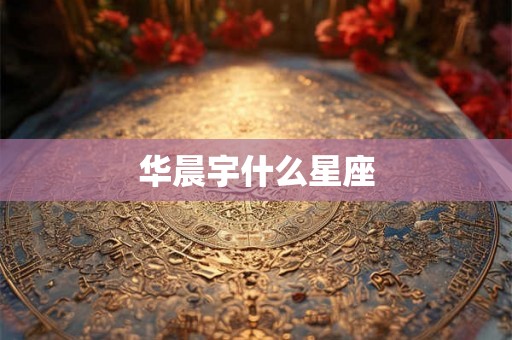 华晨宇什么星座