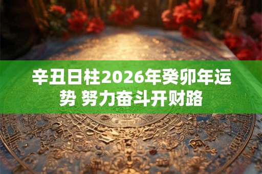 辛丑日柱2026年癸卯年运势 努力奋斗开财路