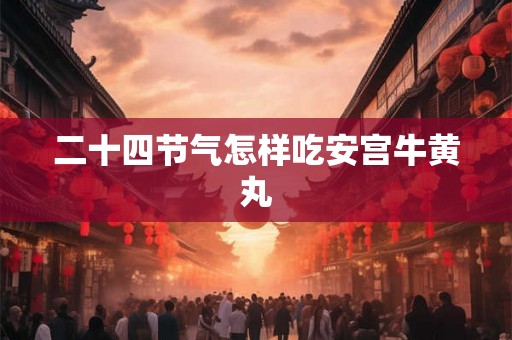 二十四节气怎样吃安宫牛黄丸