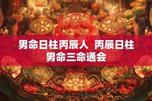 男命日柱丙辰人  丙辰日柱男命三命通会