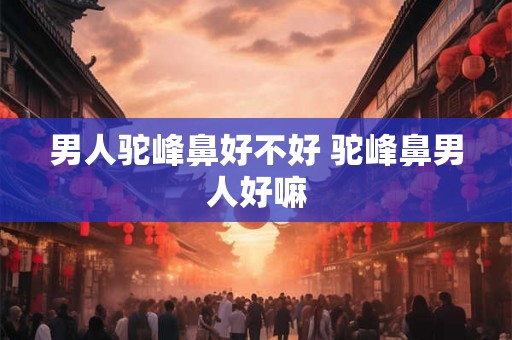 男人驼峰鼻好不好 驼峰鼻男人好嘛 男人驼峰鼻好不好 驼峰鼻男人好嘛
