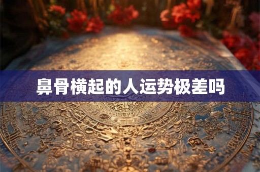 鼻骨横起的人运势极差吗