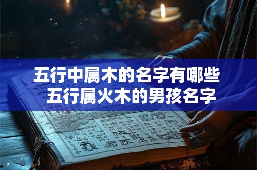五行中属木的名字有哪些  五行属火木的男孩名字