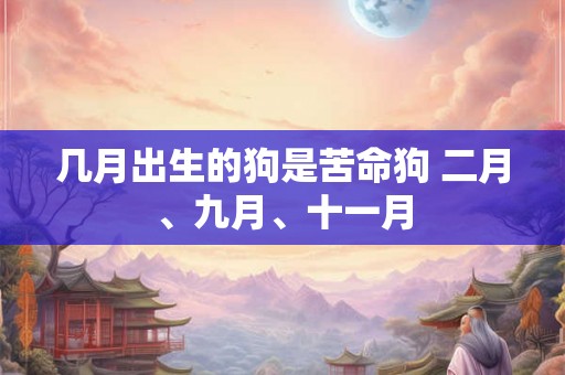 几月出生的狗是苦命狗 二月、九月、十一月 几月出生的狗是苦命狗 二月、九月、十一月