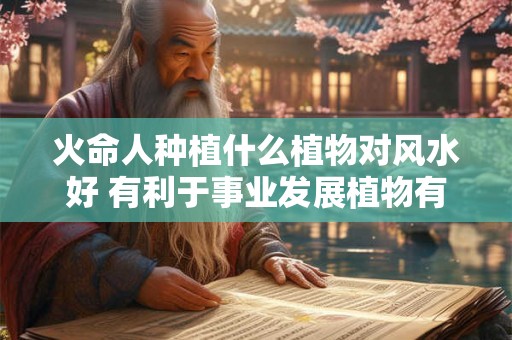 火命人种植什么植物对风水好 有利于事业发展植物有哪些