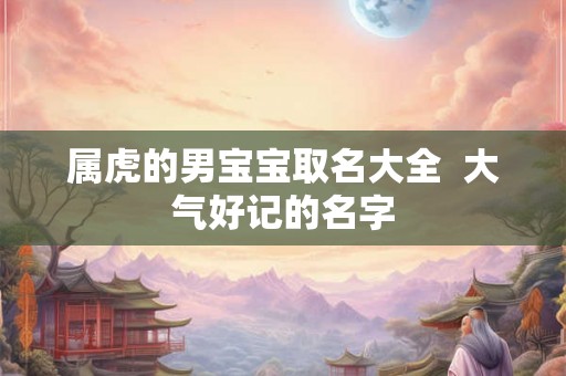 属虎的男宝宝取名大全  大气好记的名字