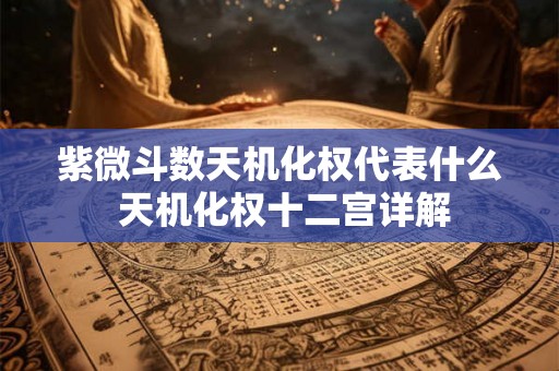 紫微斗数天机化权代表什么 天机化权十二宫详解