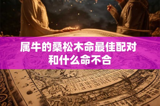 属牛的桑松木命最佳配对 和什么命不合