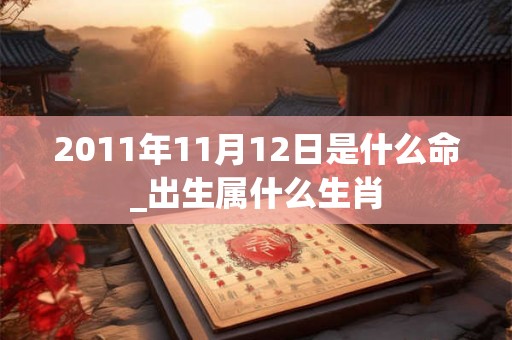 2011年11月12日是什么命_出生属什么生肖