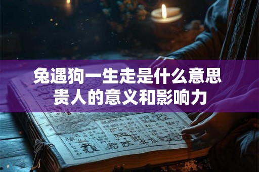 兔遇狗一生走是什么意思 贵人的意义和影响力