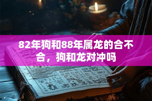 82年狗和88年属龙的合不合，狗和龙对冲吗
