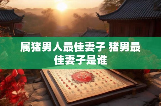 属猪男人最佳妻子 猪男最佳妻子是谁