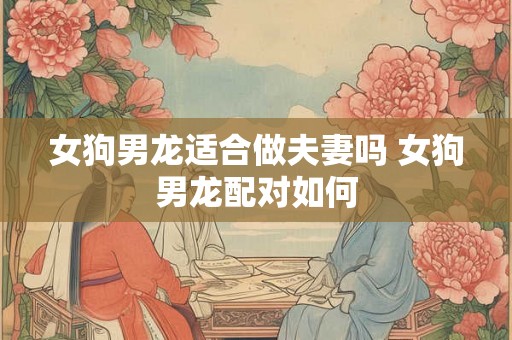 女狗男龙适合做夫妻吗 女狗男龙配对如何