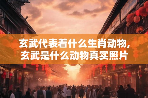 玄武代表着什么生肖动物,玄武是什么动物真实照片