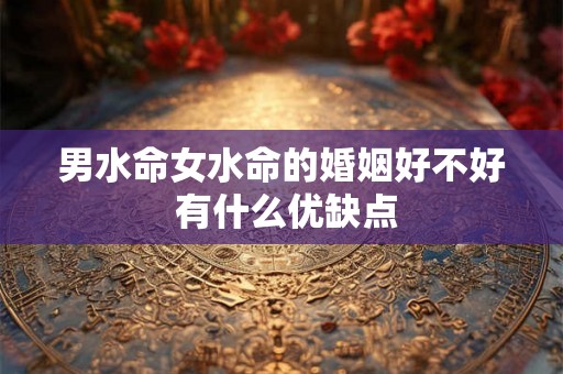 男水命女水命的婚姻好不好 有什么优缺点 男水命女水命的婚姻好不好 有什么优缺点