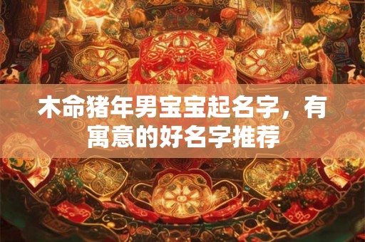 木命猪年男宝宝起名字，有寓意的好名字推荐