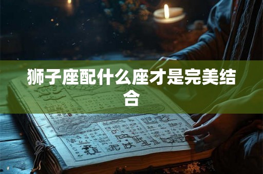 狮子座配什么座才是完美结合