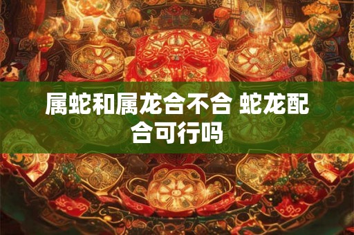 属蛇和属龙合不合 蛇龙配合可行吗