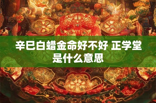 辛巳白蜡金命好不好 正学堂是什么意思