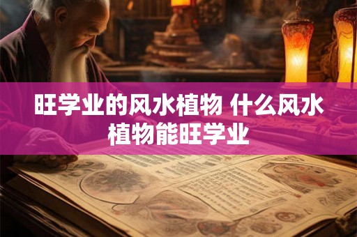 旺学业的风水植物 什么风水植物能旺学业