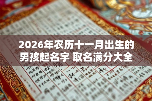 2026年农历十一月出生的男孩起名字 取名满分大全