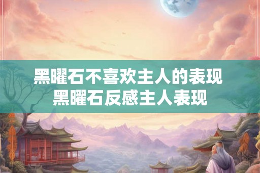黑曜石不喜欢主人的表现 黑曜石反感主人表现