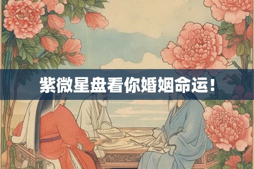 紫微星盘看你婚姻命运！