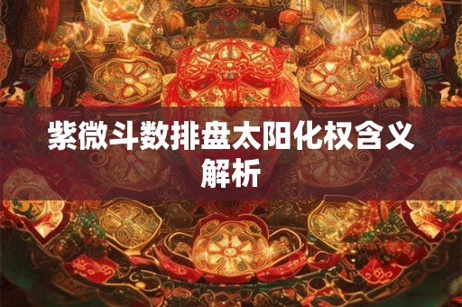 紫微斗数排盘太阳化权含义解析