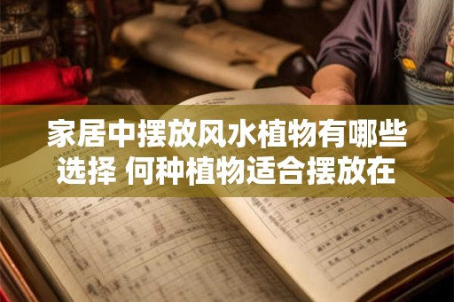 家居中摆放风水植物有哪些选择 何种植物适合摆放在家中的风水布局
