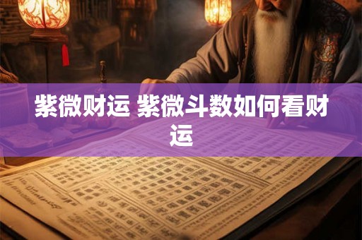 紫微财运 紫微斗数如何看财运