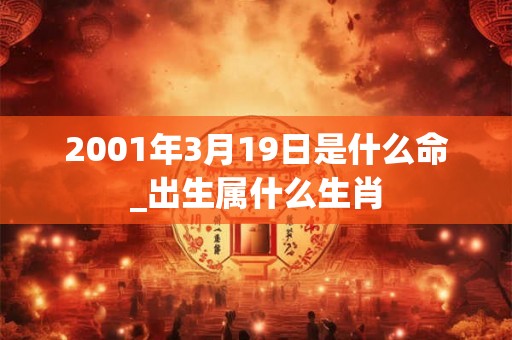 2001年3月19日是什么命_出生属什么生肖
