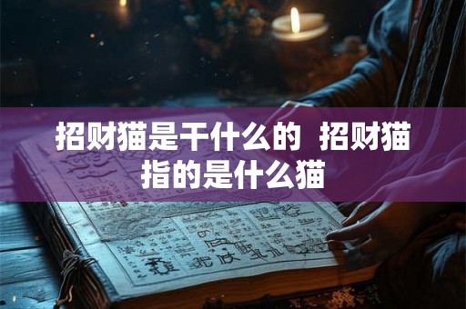 招财猫是干什么的  招财猫指的是什么猫