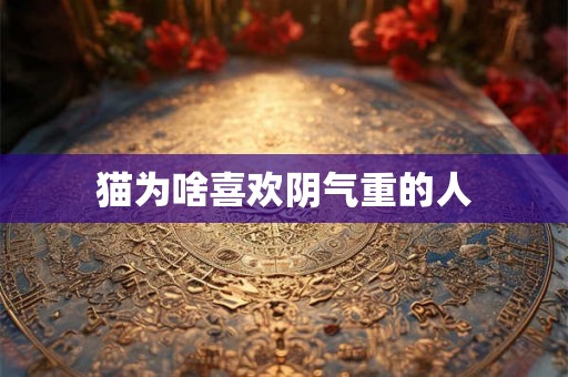 猫为啥喜欢阴气重的人 猫为啥喜欢阴气重的人