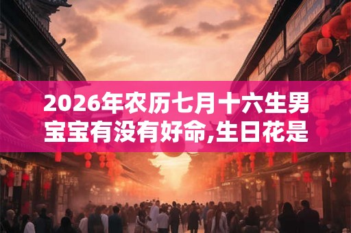 2026年农历七月十六生男宝宝有没有好命,生日花是什么？
