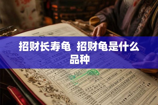 招财长寿龟  招财龟是什么品种
