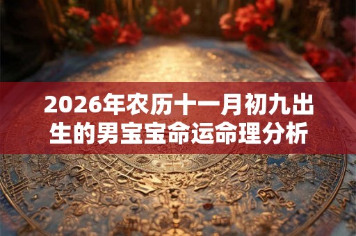 2026年农历十一月初九出生的男宝宝命运命理分析