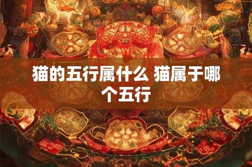 猫的五行属什么 猫属于哪个五行