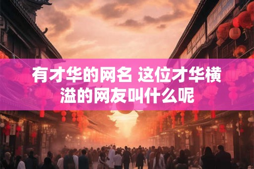 有才华的网名 这位才华横溢的网友叫什么呢