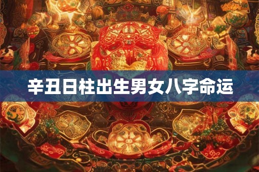 辛丑日柱出生男女八字命运