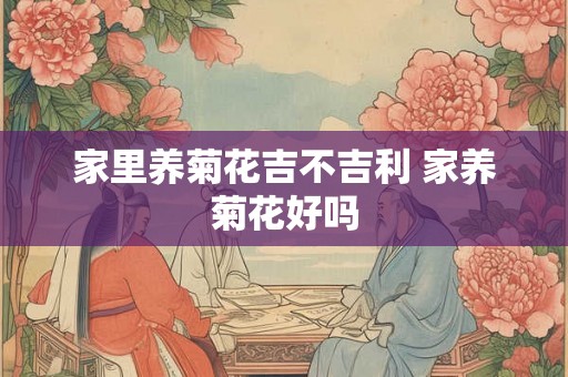 家里养菊花吉不吉利 家养菊花好吗