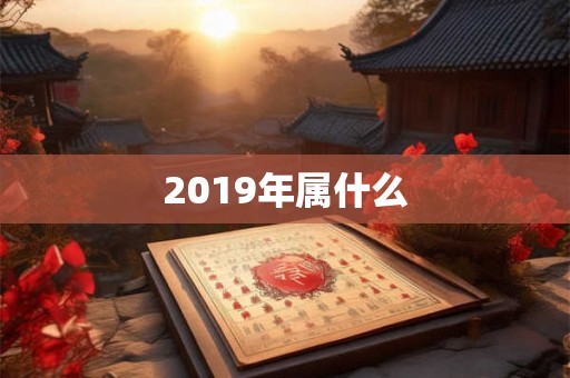 2019年属什么