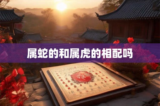 属蛇的和属虎的相配吗