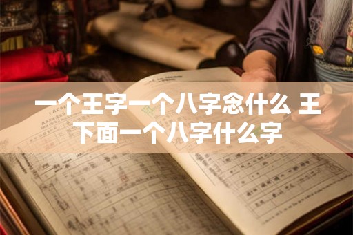 一个王字一个八字念什么 王下面一个八字什么字