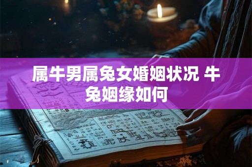 属牛男属兔女婚姻状况 牛兔姻缘如何