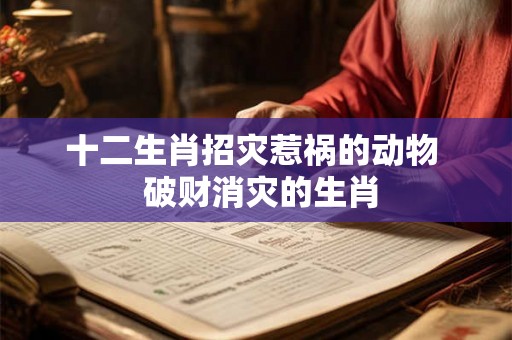 十二生肖招灾惹祸的动物  破财消灾的生肖
